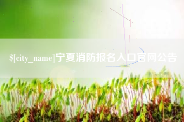 怒江宁夏消防报名入口官网公告
