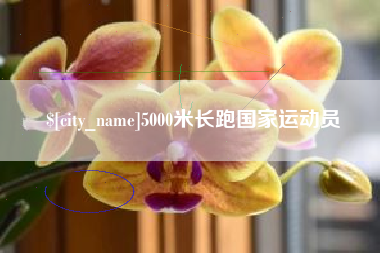 怒江5000米长跑国家运动员