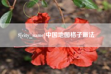 怒江中国地图格子画法