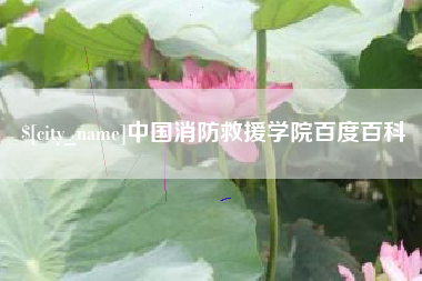 怒江中国消防救援学院百度百科