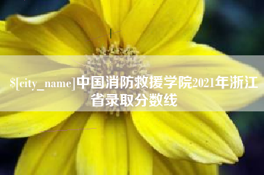 怒江中国消防救援学院2021年浙江省录取分数线