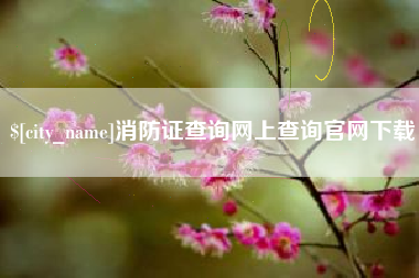 怒江消防证查询网上查询官网下载