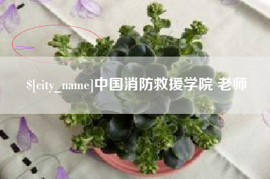 怒江中国消防救援学院 老师