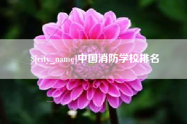 怒江中国消防学校排名