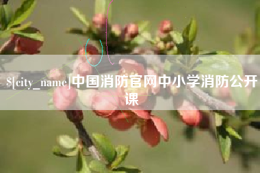 怒江中国消防官网中小学消防公开课