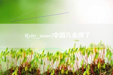 怒江中国几金牌了