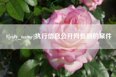 怒江执行信息公开网查到的案件
