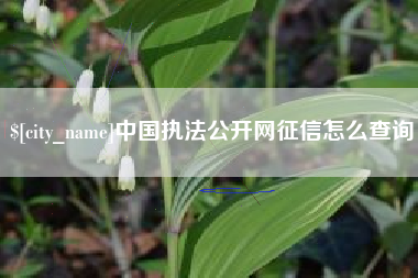 怒江中国执法公开网征信怎么查询