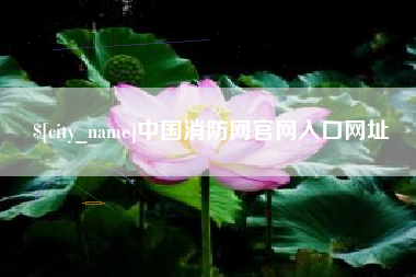 怒江中国消防网官网入口网址
