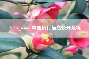 怒江中国执行信息公开系统