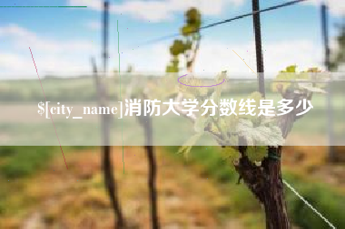 怒江消防大学分数线是多少