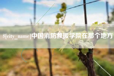 怒江中国消防救援学院在那个地方