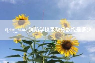 怒江消防学校录取分数线是多少