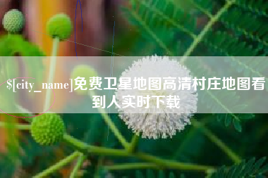 怒江免费卫星地图高清村庄地图看到人实时下载