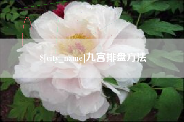 怒江九宫排盘方法