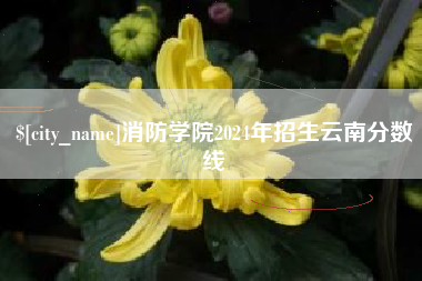 怒江消防学院2024年招生云南分数线