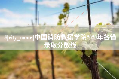 怒江中国消防救援学院2020年各省录取分数线