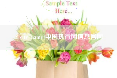怒江中国执行网信息官网