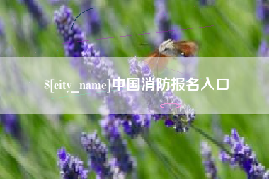 怒江中国消防报名入口