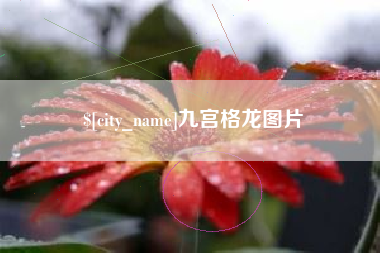 怒江九宫格龙图片