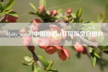怒江中国地图a4打印版空白图片