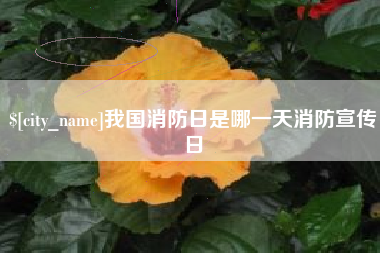 怒江我国消防日是哪一天消防宣传日