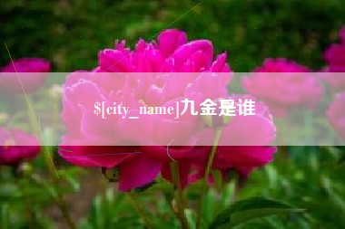 怒江九金是谁