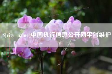 怒江中国执行信息公开网平台维护