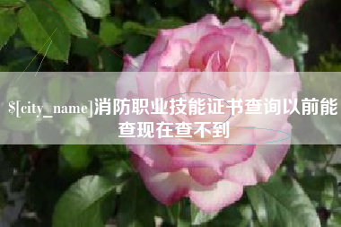 怒江消防职业技能证书查询以前能查现在查不到