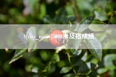 怒江5000米及格成绩