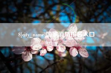 怒江国家消防报名入口