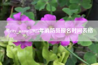 怒江2025年消防员报名时间表格