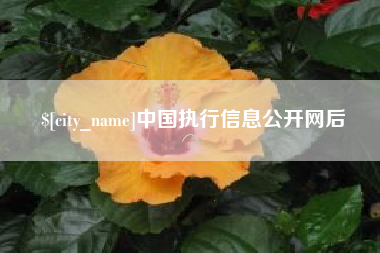 怒江中国执行信息公开网后
