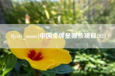 怒江中国金牌是哪些项目2021