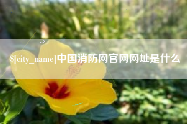 怒江中国消防网官网网址是什么