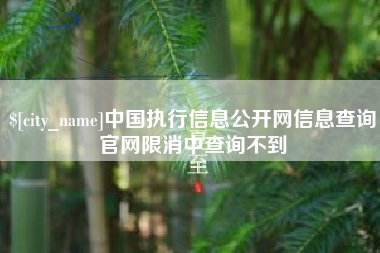 怒江中国执行信息公开网信息查询官网限消中查询不到