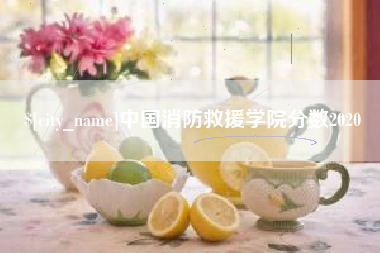 怒江中国消防救援学院分数2020