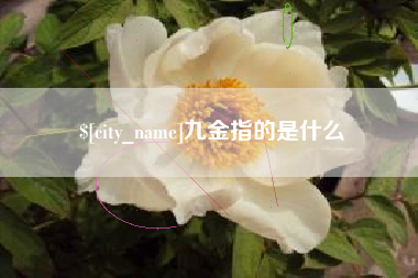 怒江九金指的是什么