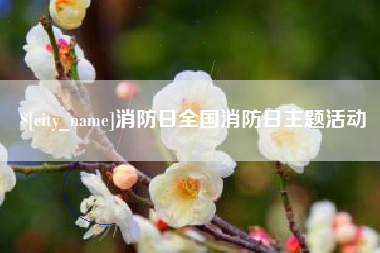 怒江消防日全国消防日主题活动