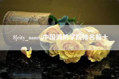怒江中国消防学院排名前十