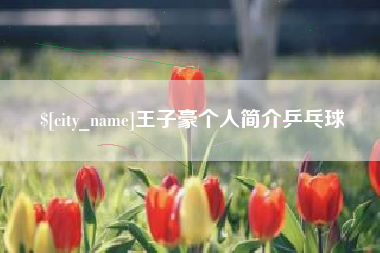 怒江王子豪个人简介乒乓球