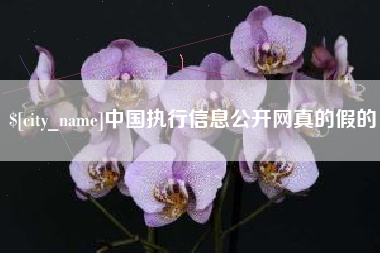 怒江中国执行信息公开网真的假的