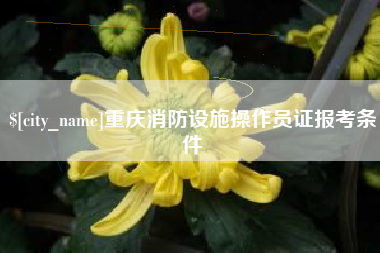 怒江重庆消防设施操作员证报考条件