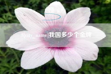 怒江我国多少个金牌
