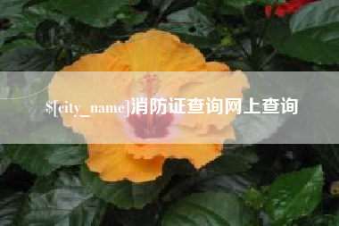 怒江消防证查询网上查询