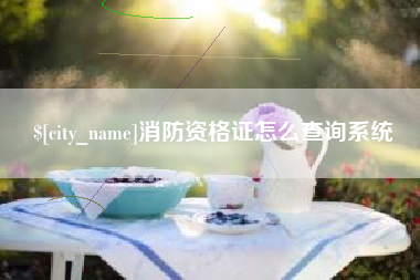 怒江消防资格证怎么查询系统