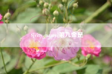 怒江第九金是