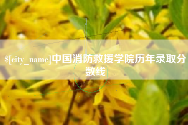 怒江中国消防救援学院历年录取分数线