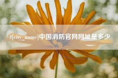 怒江中国消防官网网址是多少