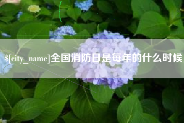 怒江全国消防日是每年的什么时候